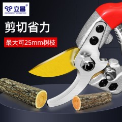 剪枝剪刀果樹德國家用修枝花剪樹枝粗枝剪強(qiáng)力園林園藝剪刀