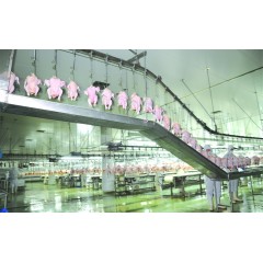 山東諸城外貿(mào)有限公司，招聘儲備一線生產(chǎn)人員200名