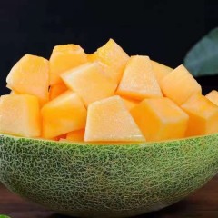 一只長在吐魯番的哈密瓜，西州蜜25號又叫“酥蜜25號”濃郁香甜，甜度驚人?。?！