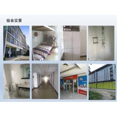 北京電子廠  招聘  女158以上，男165以上，年齡16-40歲