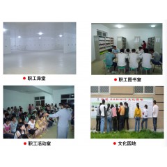 山東山孚日水有限公司招聘信息 男女不限，18-45周歲，