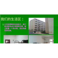 杭州洲際食品廠招聘：大齡工人 年齡16-55周歲【免費報名】