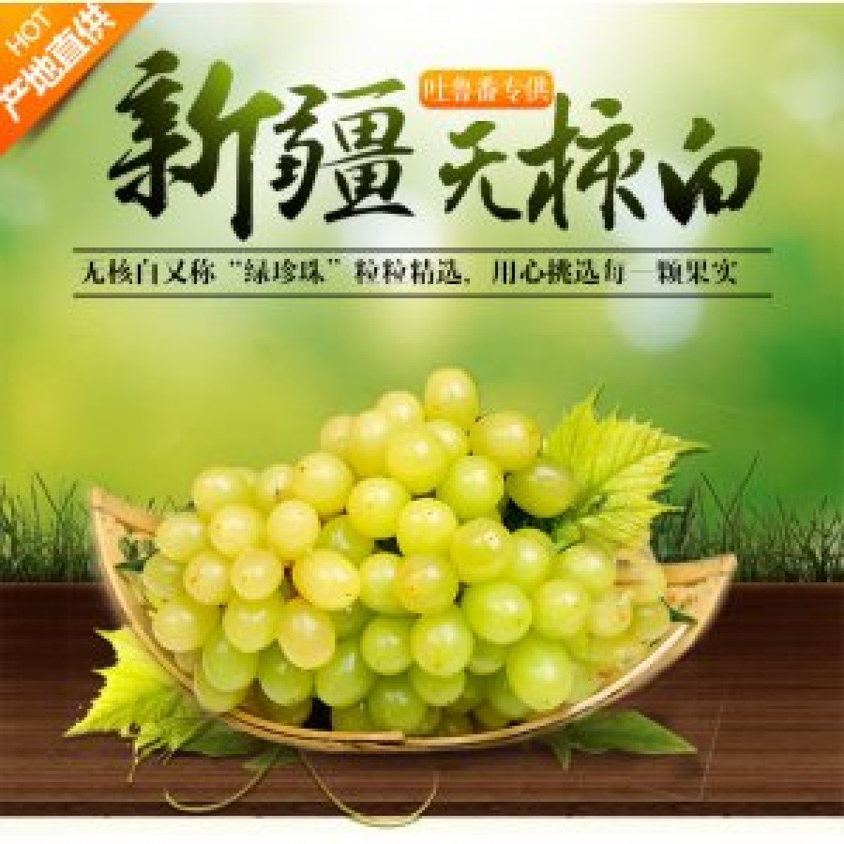 新疆 鮮葡萄  吐魯番無(wú)核白 鮮葡萄【件】