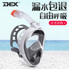 DEX戶外運(yùn)動(dòng)潛水裝備全干式浮潛三寶護(hù)目鏡游泳沖浪近視浮潛面鏡