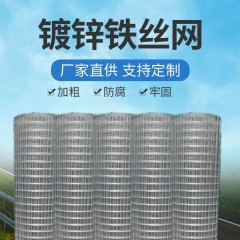 鐵絲網(wǎng)圍欄熱鍍鋅鋼絲網(wǎng)養(yǎng)殖網(wǎng)護(hù)欄陽臺(tái)防護(hù)防鼠小孔網(wǎng)格家用