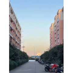 南京中電熊貓晶體  招聘：男18-35周歲，女18-40周歲。