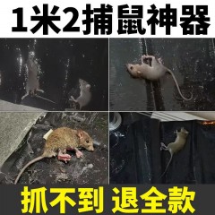 老鼠貼滅鼠魔毯 捕鼠神器老鼠板老鼠粘鼠板強力家用捉鼠驅(qū)鼠滅鼠